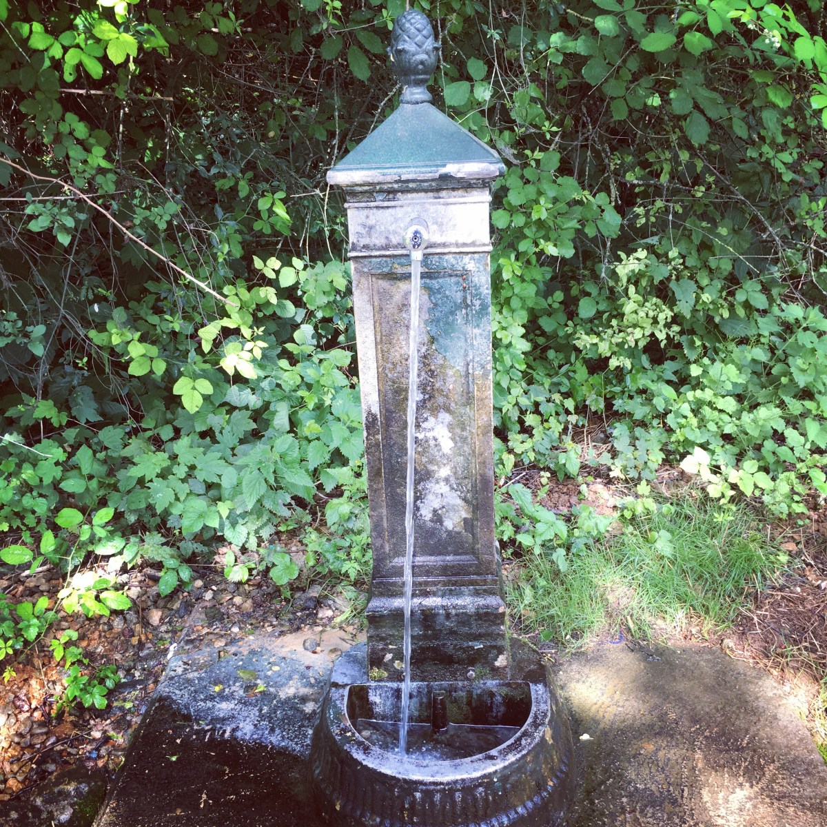 Springs Gushing Up to Eternal&nbsp;Life